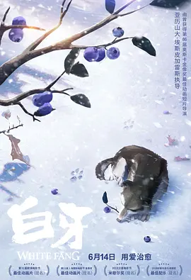 a级片视频网站